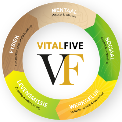 Over VitalFix
